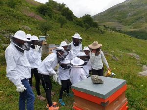 Ateliers sur l'apiculture Les Menuires